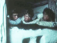     (1988) 
