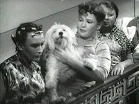    (1959)