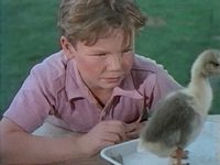   (1956) -  2