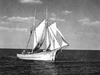   (1958)