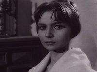  (1965)