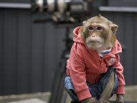    (2024) 
