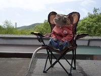    (2024)