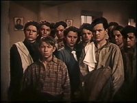   (1955)