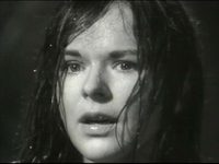  -   (1965)