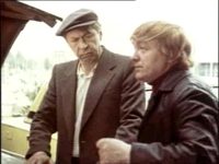     (1981) 
