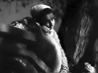  (1941)