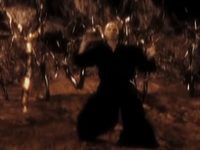   1.0 (2004) 
