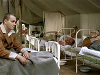 .   (2007)