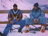      (1993) 
