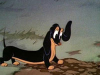  (1942) 
