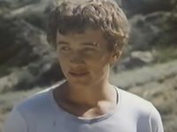    (1981) -  10
