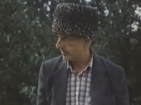    (1981) -  19