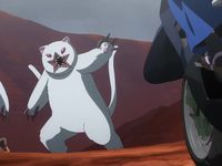  (2021) 

