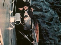   (1983)