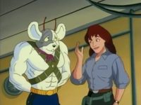-   (1993-1996) 
