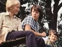    (1981) -  2