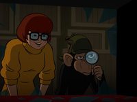 -  :    (2018) -  19