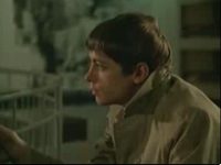     (1981) -  33