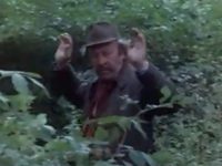     (1981)