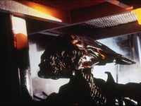  (1986) -  14