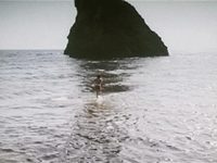   () (1973) 
