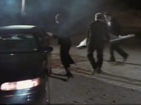   (1996) 
