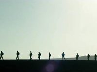   (2017)