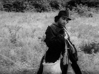   (1981)