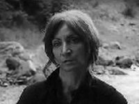   (1981) -  12