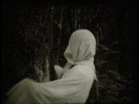  (1988) 
