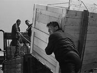    (1967) 
