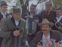, ,     (1981) -  13