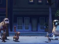 100%  (2019) -  11