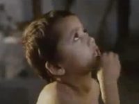   (2000) -  3