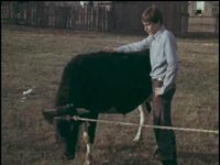   (1979) -  2