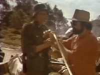  (1978)