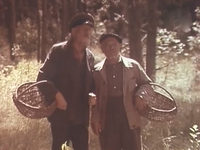  (1978)