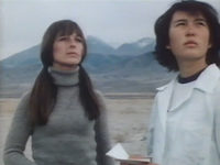  (1979)