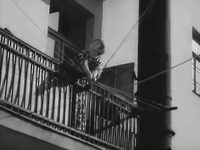   (1956)