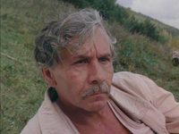   (1988) 
