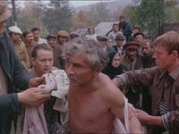   (1988)