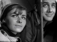  (1966)
