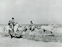  :   (1953) 
