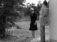  (1966)