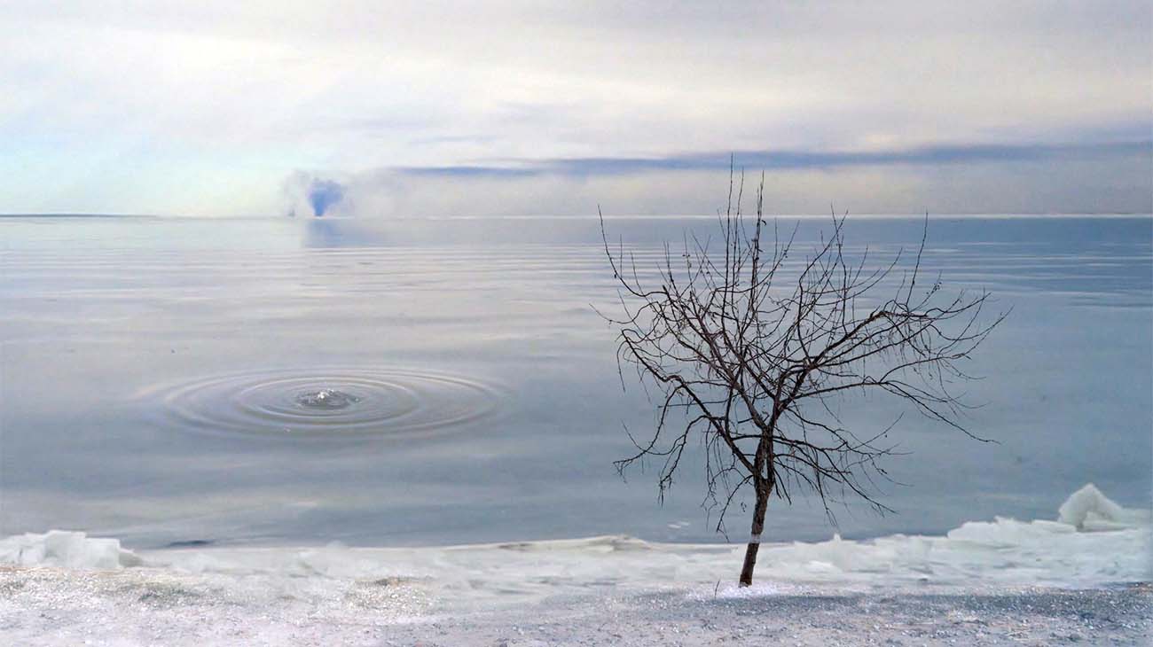 Место времени (2025)