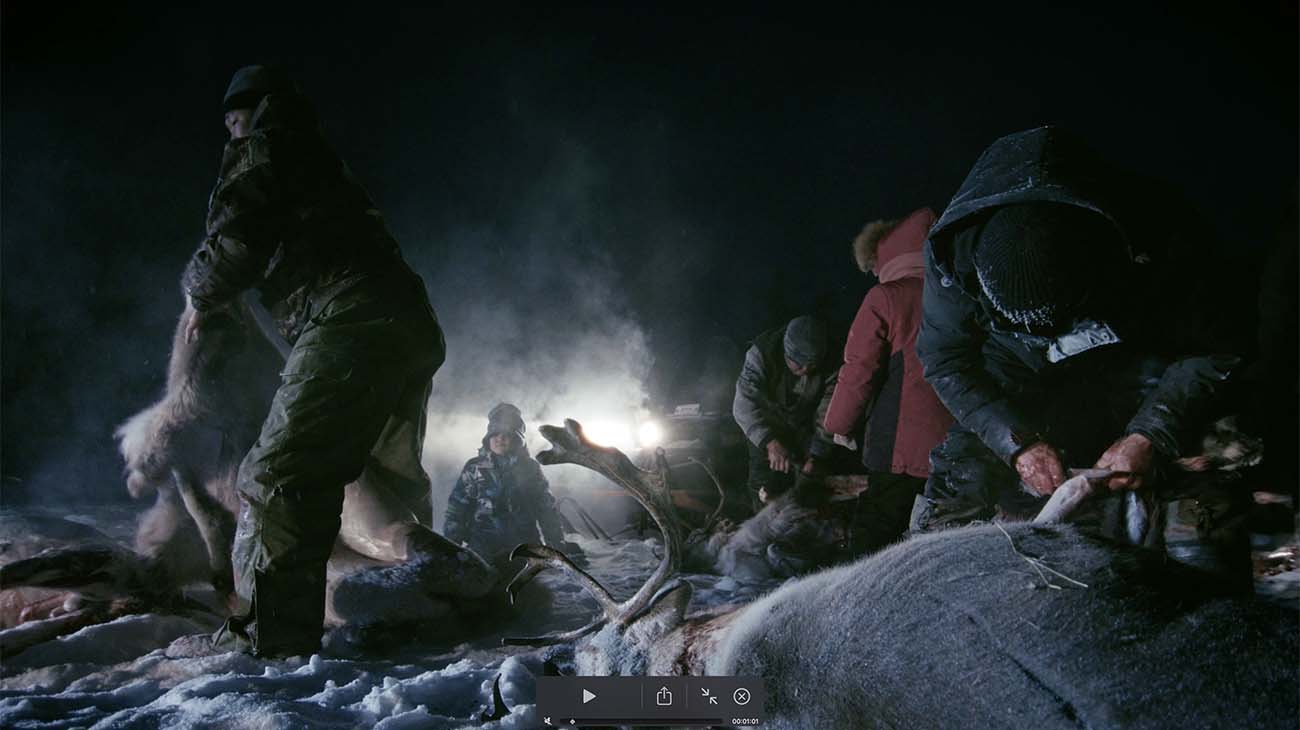 Молчаливая песня оленя (2025)