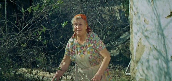  (1975)