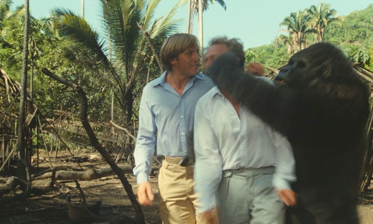  (1981)