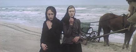      (1983)